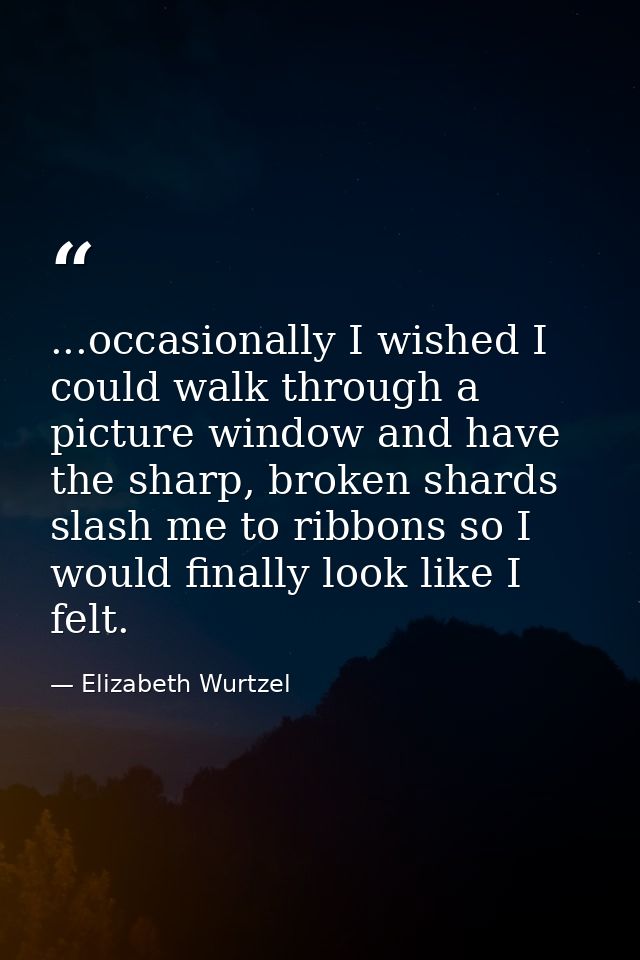 ...occasionally I wished I could walk through a picture window and have the sharp, broken shards slash me to ribbons so  — Elizabeth Wurtzel