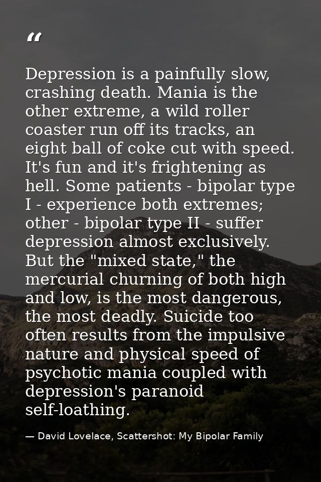 Depression is a painfully slow, crashing death. Mania is the other extreme, a wild roller coaster run off its tracks, an — David Lovelace, Scattershot: My Bipolar Family