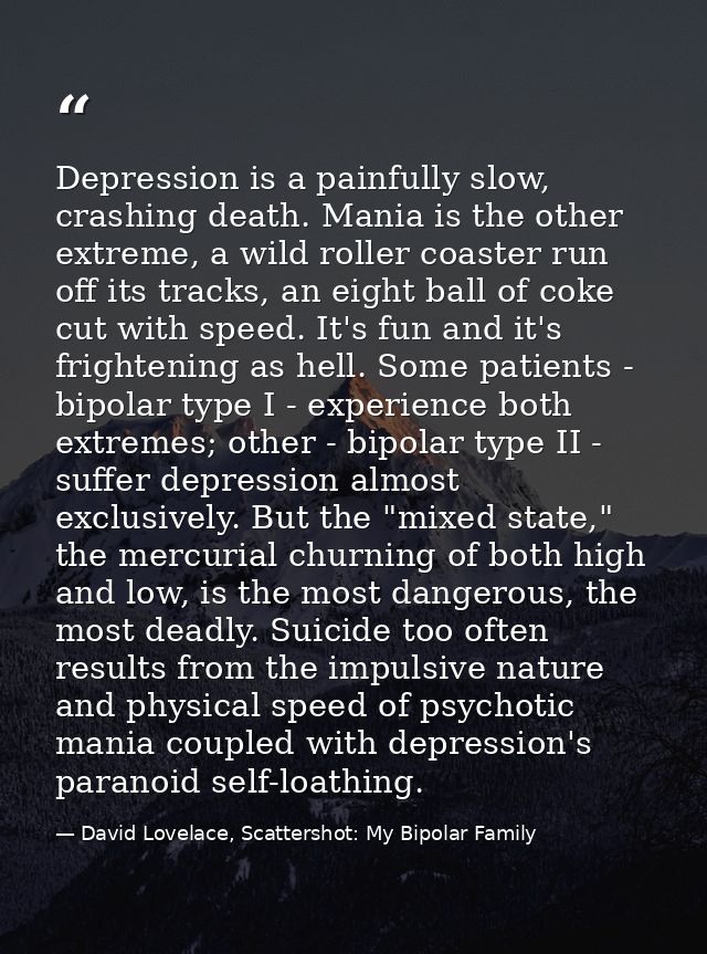 Depression is a painfully slow, crashing death. Mania is the other extreme, a wild roller coaster run off its tracks, an — David Lovelace, Scattershot: My Bipolar Family