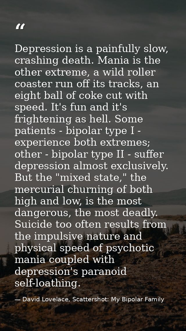 Depression is a painfully slow, crashing death. Mania is the other extreme, a wild roller coaster run off its tracks, an — David Lovelace, Scattershot: My Bipolar Family