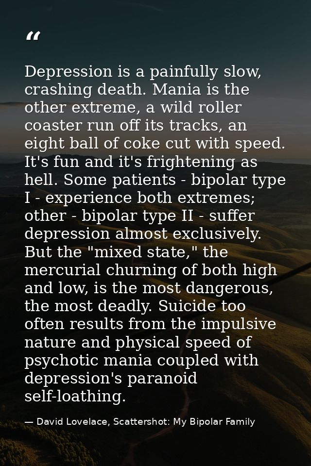 Depression is a painfully slow, crashing death. Mania is the other extreme, a wild roller coaster run off its tracks, an — David Lovelace, Scattershot: My Bipolar Family