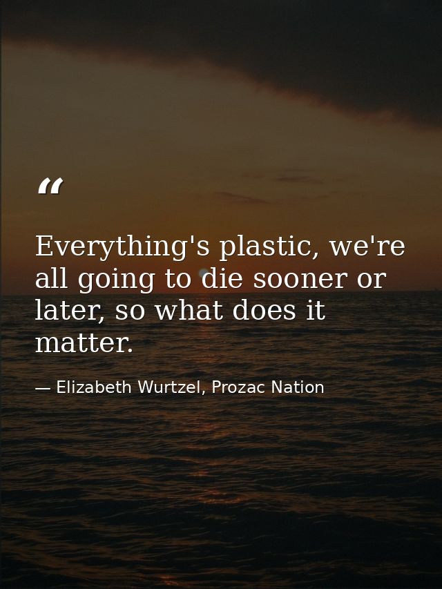 Everything's plastic, we're all going to die sooner or later, so what does it matter. — Elizabeth Wurtzel, Prozac Nation