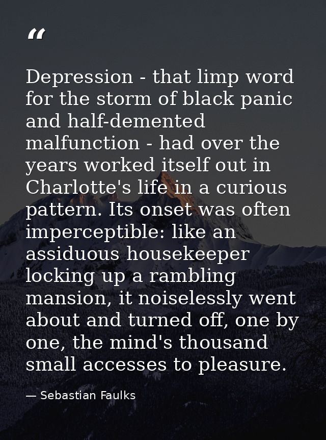 Depression - that limp word for the storm of black panic and half-demented malfunction - had over the years worked itsel — Sebastian Faulks
