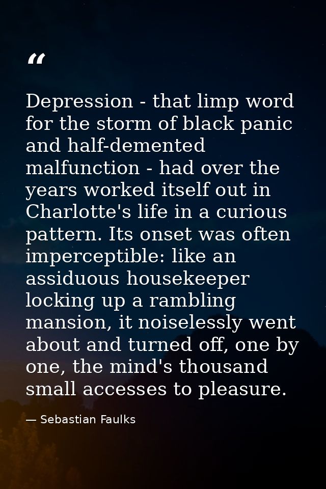 Depression - that limp word for the storm of black panic and half-demented malfunction - had over the years worked itsel — Sebastian Faulks
