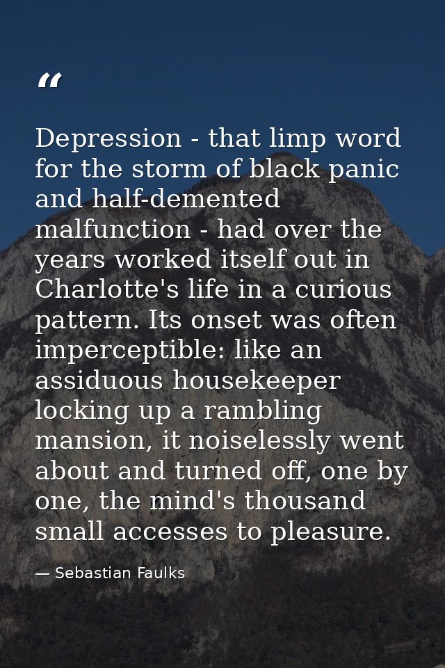 Depression - that limp word for the storm of black panic and half-demented malfunction - had over the years worked itsel — Sebastian Faulks