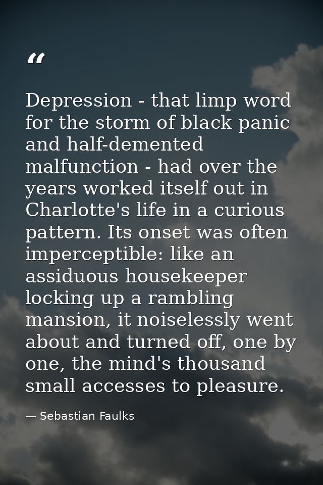 Depression - that limp word for the storm of black panic and half-demented malfunction - had over the years worked itsel — Sebastian Faulks
