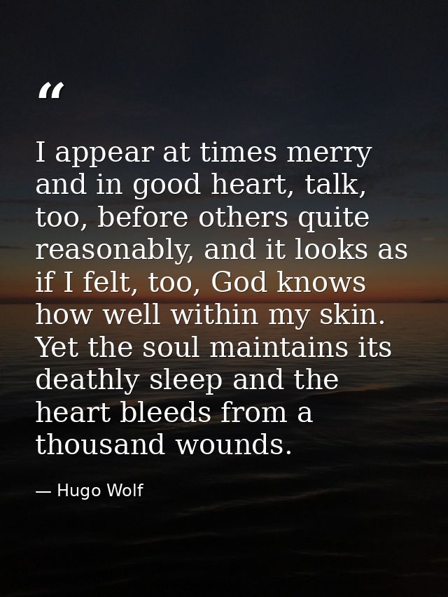 I appear at times merry and in good heart, talk, too, before others quite reasonably, and it looks as if I felt, too, Go — Hugo Wolf