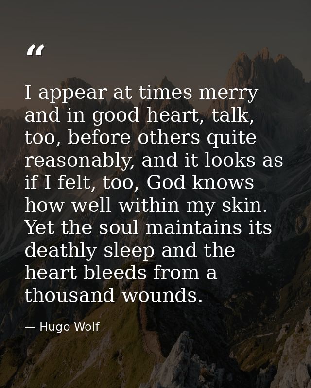 I appear at times merry and in good heart, talk, too, before others quite reasonably, and it looks as if I felt, too, Go — Hugo Wolf