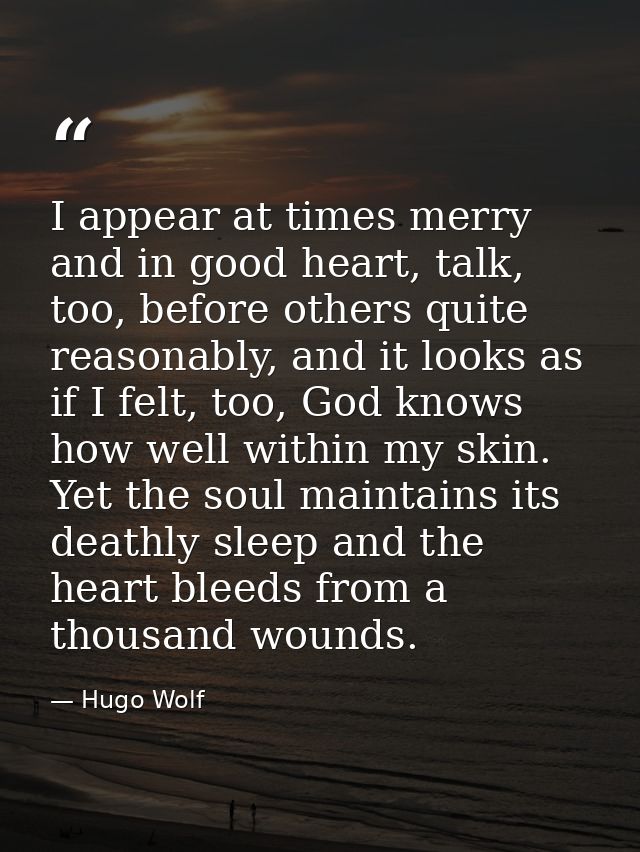 I appear at times merry and in good heart, talk, too, before others quite reasonably, and it looks as if I felt, too, Go — Hugo Wolf