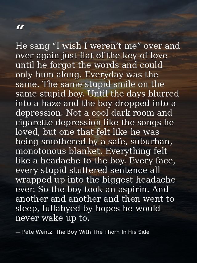 He sang “I wish I weren’t me” over and over again just flat of the key of love until he forgot the words and could only  — Pete Wentz, The Boy With The Thorn In His Side