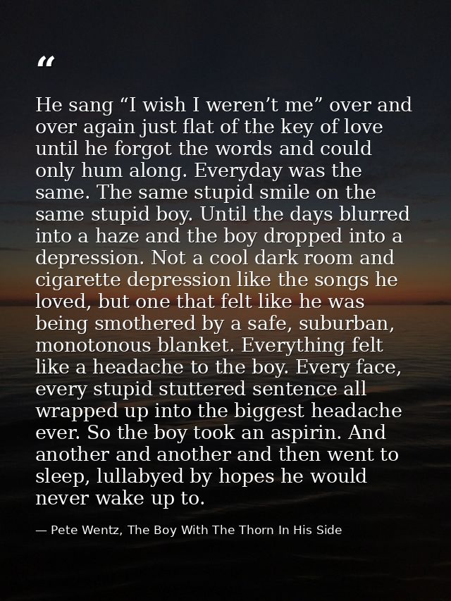 He sang “I wish I weren’t me” over and over again just flat of the key of love until he forgot the words and could only  — Pete Wentz, The Boy With The Thorn In His Side
