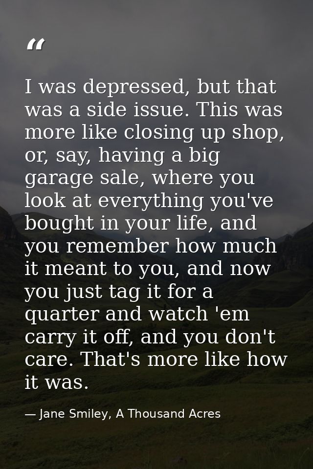 I was depressed, but that was a side issue. This was more like closing up shop, or, say, having a big garage sale, where — Jane Smiley, A Thousand Acres