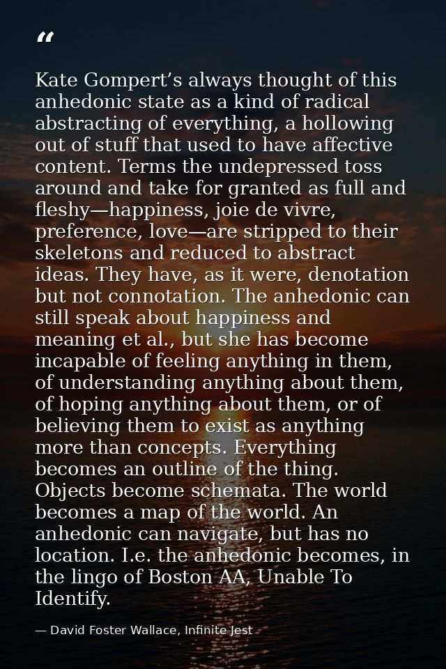 Kate Gompert’s always thought of this anhedonic state as a kind of radical abstracting of everything, a hollowing out of — David Foster Wallace, Infinite Jest