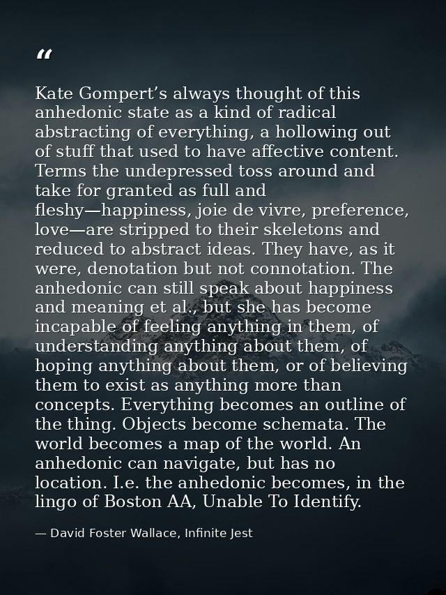 Kate Gompert’s always thought of this anhedonic state as a kind of radical abstracting of everything, a hollowing out of — David Foster Wallace, Infinite Jest