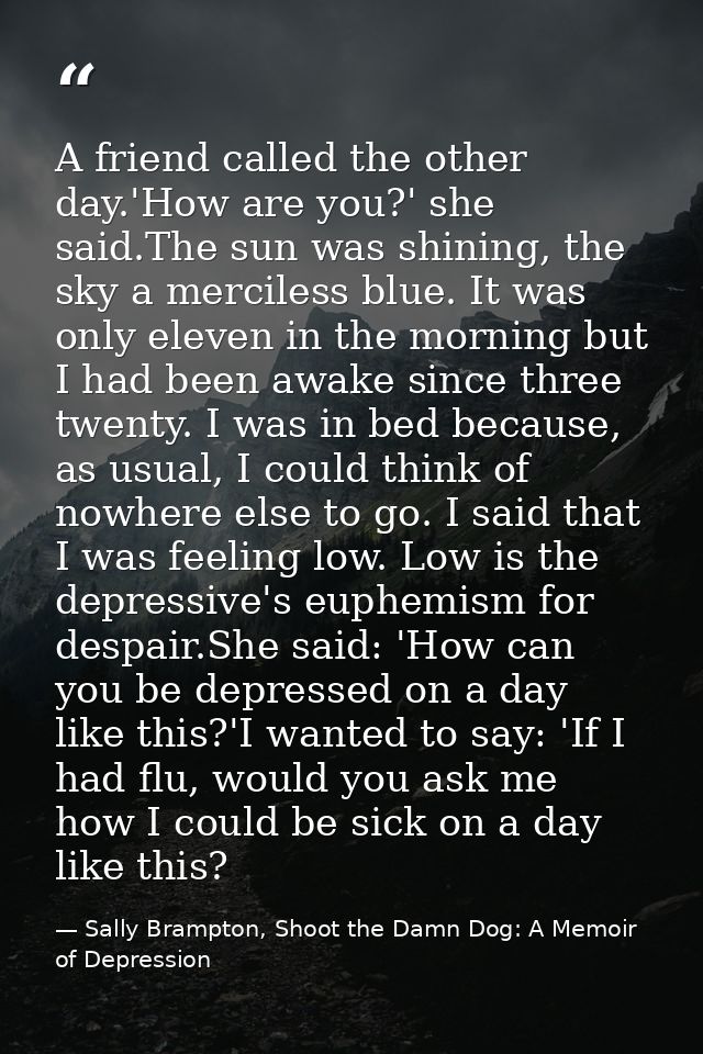 A friend called the other day.'How are you?' she said.The sun was shining, the sky a merciless blue. It was only eleven  — Sally Brampton, Shoot the Damn Dog: A Memoir of Depression