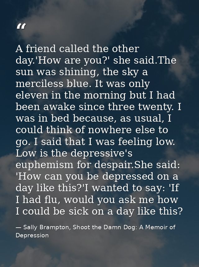 A friend called the other day.'How are you?' she said.The sun was shining, the sky a merciless blue. It was only eleven  — Sally Brampton, Shoot the Damn Dog: A Memoir of Depression
