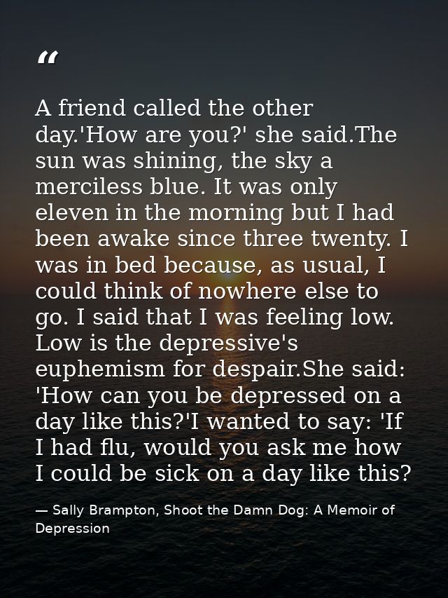 A friend called the other day.'How are you?' she said.The sun was shining, the sky a merciless blue. It was only eleven  — Sally Brampton, Shoot the Damn Dog: A Memoir of Depression