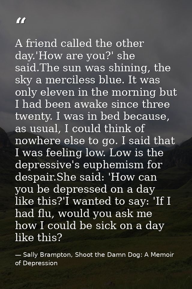 A friend called the other day.'How are you?' she said.The sun was shining, the sky a merciless blue. It was only eleven  — Sally Brampton, Shoot the Damn Dog: A Memoir of Depression