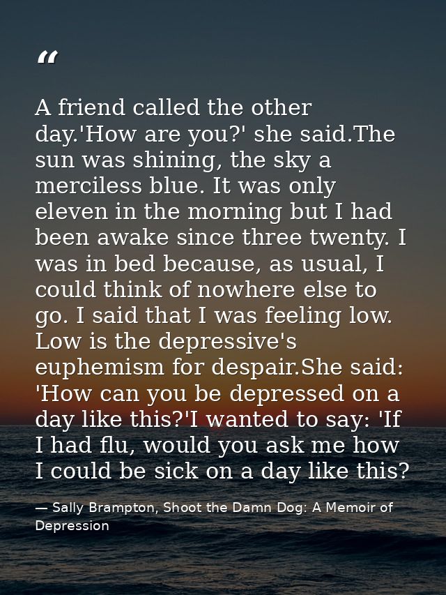 A friend called the other day.'How are you?' she said.The sun was shining, the sky a merciless blue. It was only eleven  — Sally Brampton, Shoot the Damn Dog: A Memoir of Depression