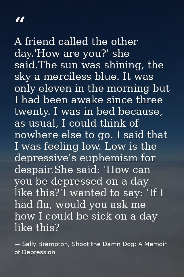 A friend called the other day.'How are you?' she said.The sun was shining, the sky a merciless blue. It was only eleven  — Sally Brampton, Shoot the Damn Dog: A Memoir of Depression