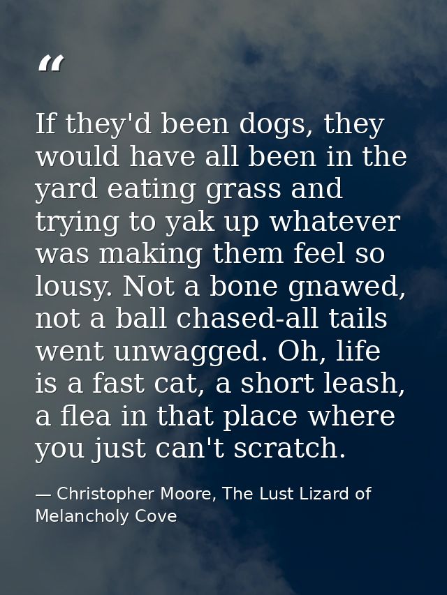If they'd been dogs, they would have all been in the yard eating grass and trying to yak up whatever was making them fee — Christopher Moore, The Lust Lizard of Melancholy Cove