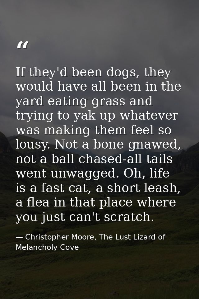 If they'd been dogs, they would have all been in the yard eating grass and trying to yak up whatever was making them fee — Christopher Moore, The Lust Lizard of Melancholy Cove