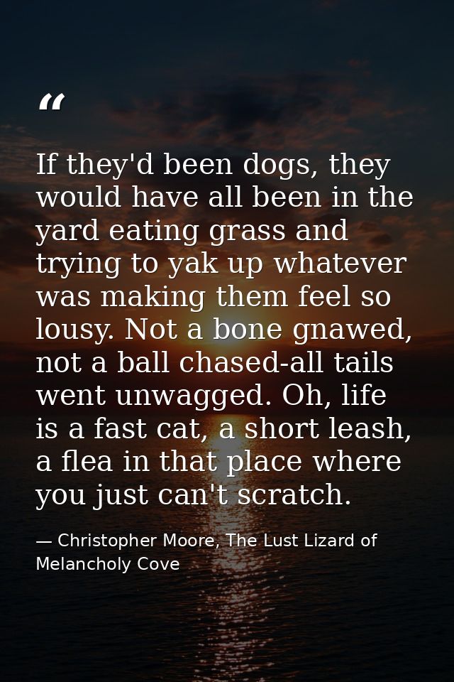 If they'd been dogs, they would have all been in the yard eating grass and trying to yak up whatever was making them fee — Christopher Moore, The Lust Lizard of Melancholy Cove