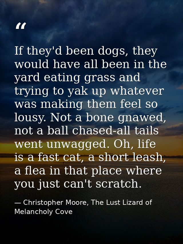 If they'd been dogs, they would have all been in the yard eating grass and trying to yak up whatever was making them fee — Christopher Moore, The Lust Lizard of Melancholy Cove