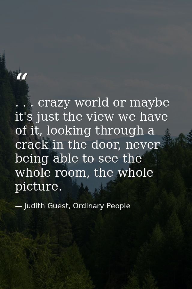 . . . crazy world or maybe it's just the view we have of it, looking through a crack in the door, never being able to se — Judith Guest, Ordinary People