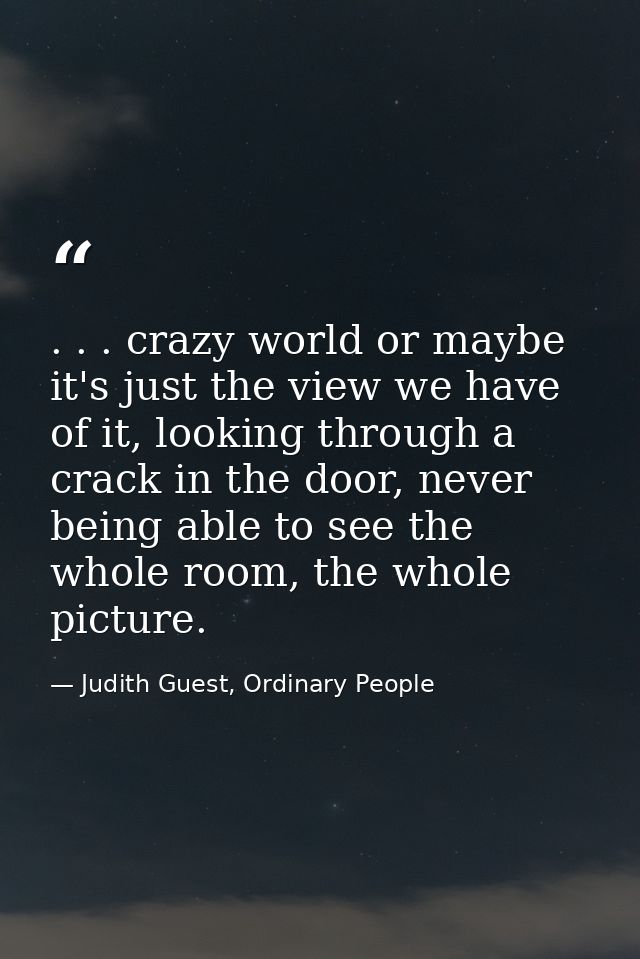 . . . crazy world or maybe it's just the view we have of it, looking through a crack in the door, never being able to se — Judith Guest, Ordinary People