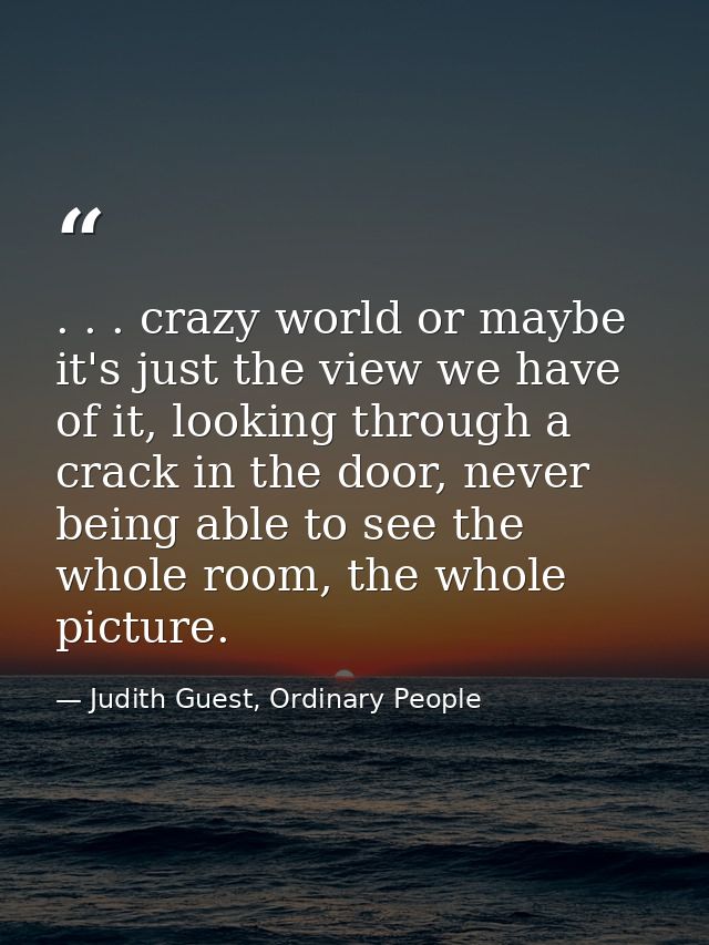 . . . crazy world or maybe it's just the view we have of it, looking through a crack in the door, never being able to se — Judith Guest, Ordinary People