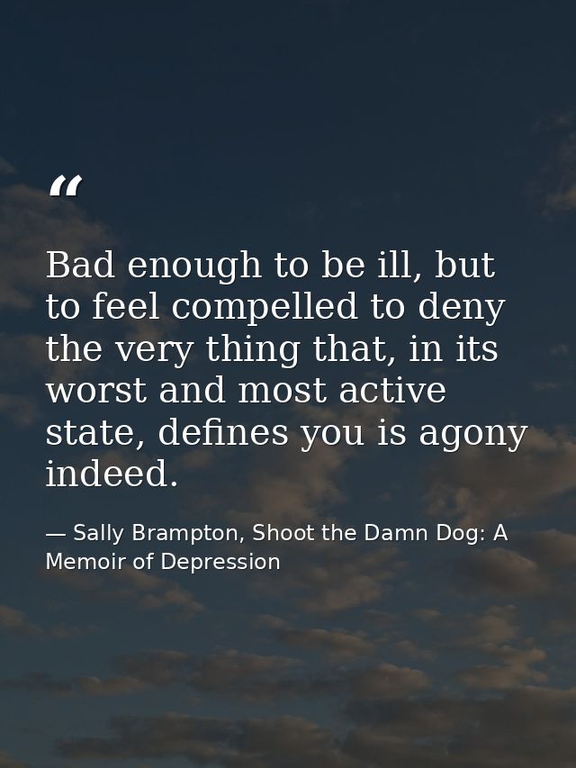 Bad enough to be ill, but to feel compelled to deny the very thing that, in its worst and most active state, defines you — Sally Brampton, Shoot the Damn Dog: A Memoir of Depression