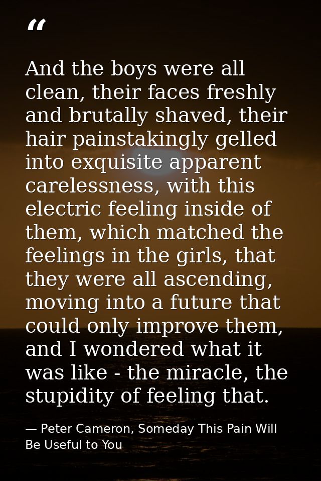 And the boys were all clean, their faces freshly and brutally shaved, their hair painstakingly gelled into exquisite app — Peter Cameron, Someday This Pain Will Be Useful to You