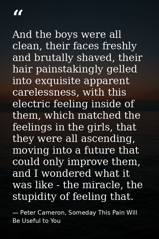 And the boys were all clean, their faces freshly and brutally shaved, their hair painstakingly gelled into exquisite app — Peter Cameron, Someday This Pain Will Be Useful to You