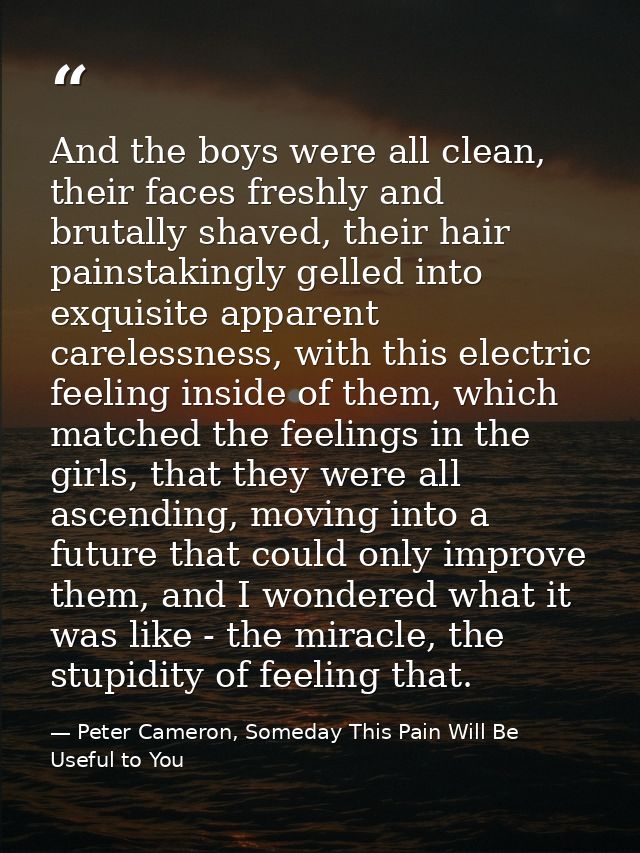 And the boys were all clean, their faces freshly and brutally shaved, their hair painstakingly gelled into exquisite app — Peter Cameron, Someday This Pain Will Be Useful to You