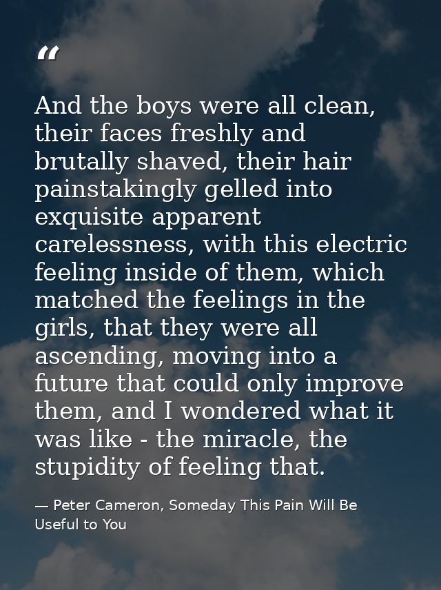 And the boys were all clean, their faces freshly and brutally shaved, their hair painstakingly gelled into exquisite app — Peter Cameron, Someday This Pain Will Be Useful to You