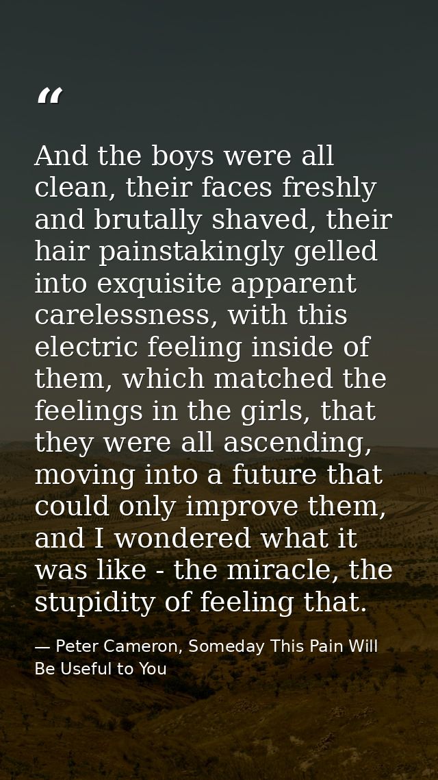 And the boys were all clean, their faces freshly and brutally shaved, their hair painstakingly gelled into exquisite app — Peter Cameron, Someday This Pain Will Be Useful to You