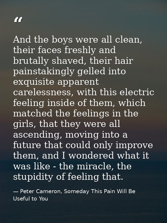 And the boys were all clean, their faces freshly and brutally shaved, their hair painstakingly gelled into exquisite app — Peter Cameron, Someday This Pain Will Be Useful to You
