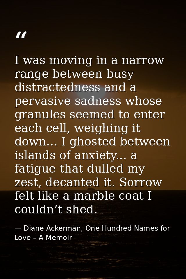 I was moving in a narrow range between busy distractedness and a pervasive sadness whose granules seemed to enter each c — Diane Ackerman, One Hundred Names for Love – A Memoir