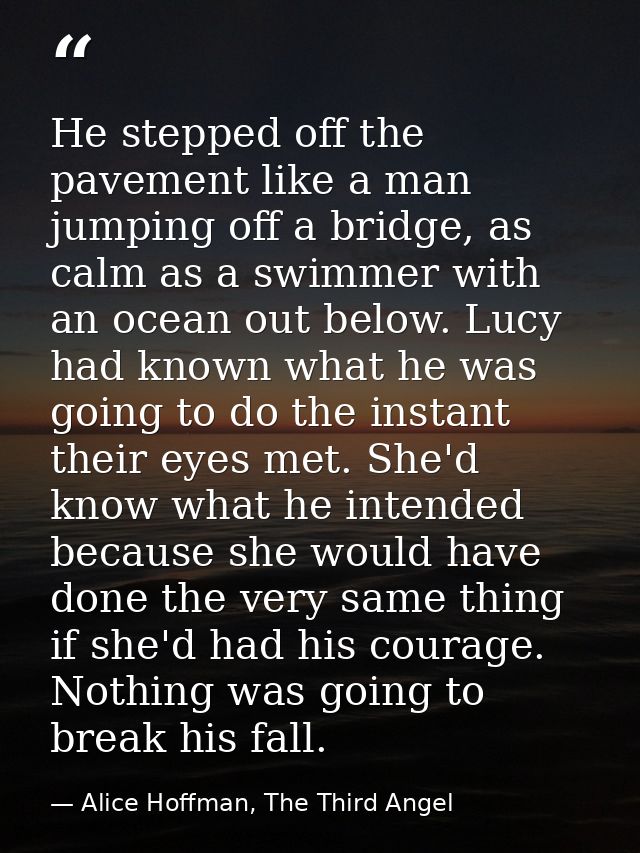 He stepped off the pavement like a man jumping off a bridge, as calm as a swimmer with an ocean out below. Lucy had know — Alice Hoffman, The Third Angel