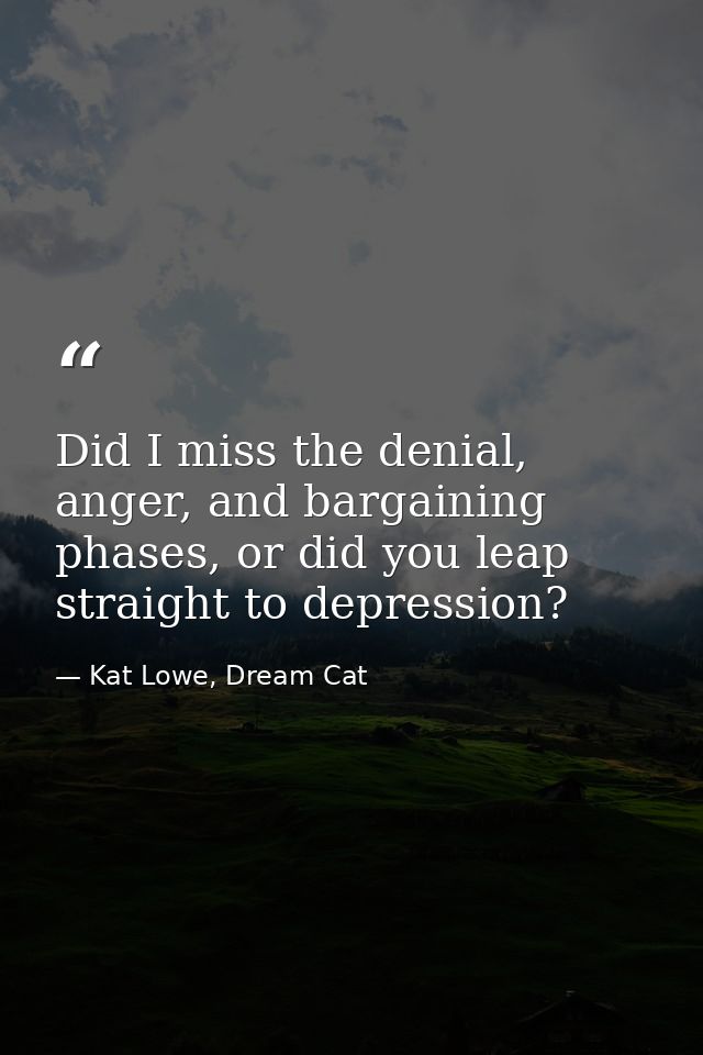 Did I miss the denial, anger, and bargaining phases, or did you leap straight to depression? — Kat Lowe, Dream Cat