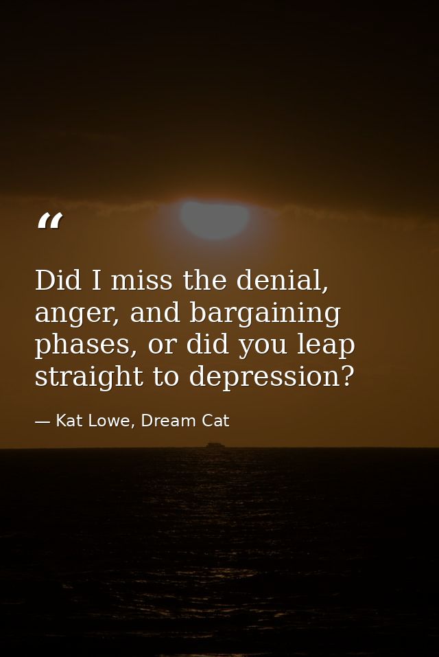Did I miss the denial, anger, and bargaining phases, or did you leap straight to depression? — Kat Lowe, Dream Cat