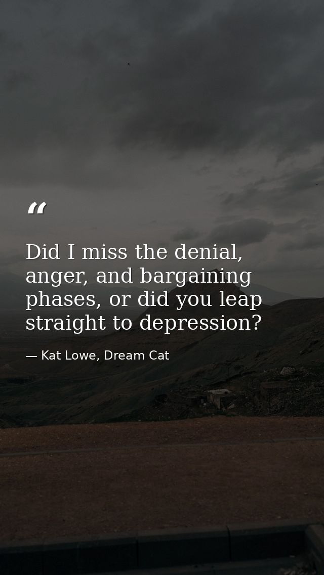 Did I miss the denial, anger, and bargaining phases, or did you leap straight to depression? — Kat Lowe, Dream Cat