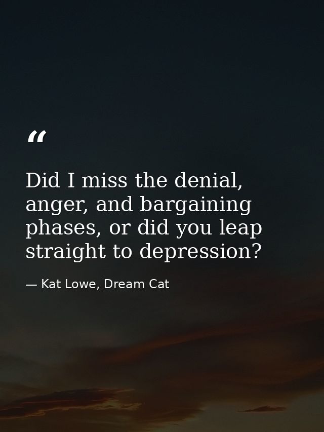 Did I miss the denial, anger, and bargaining phases, or did you leap straight to depression? — Kat Lowe, Dream Cat