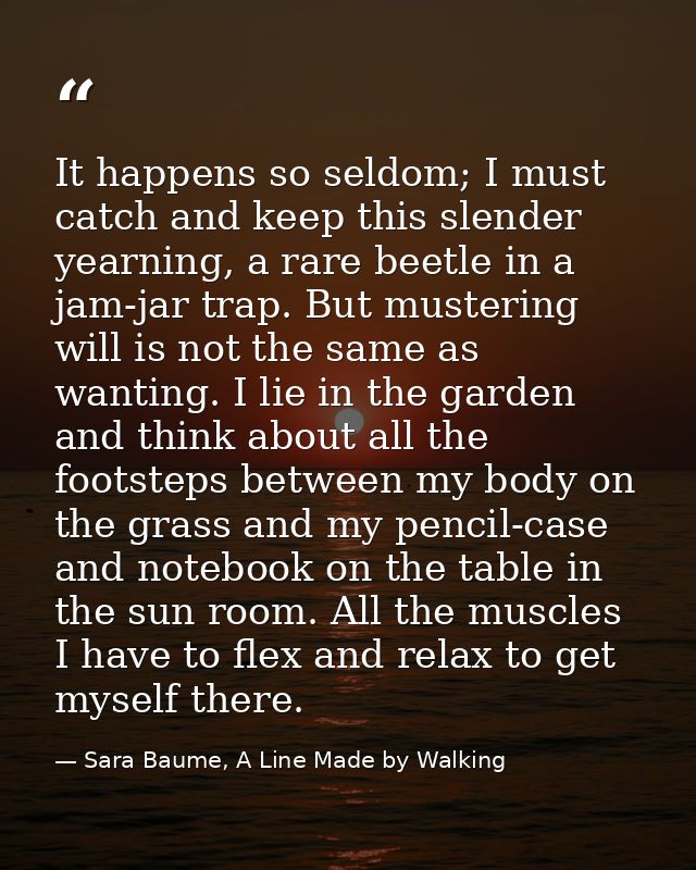 It happens so seldom; I must catch and keep this slender yearning, a rare beetle in a jam-jar trap. But mustering will i — Sara Baume, A Line Made by Walking