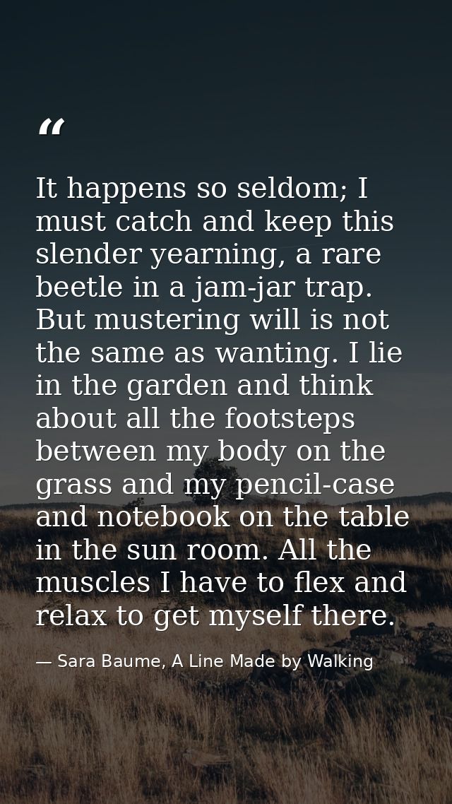 It happens so seldom; I must catch and keep this slender yearning, a rare beetle in a jam-jar trap. But mustering will i — Sara Baume, A Line Made by Walking