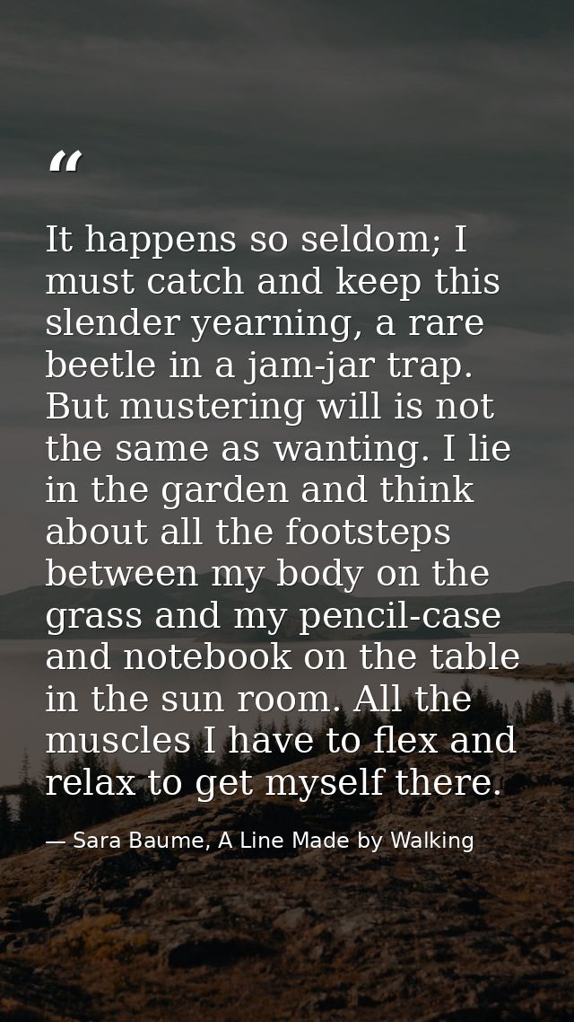 It happens so seldom; I must catch and keep this slender yearning, a rare beetle in a jam-jar trap. But mustering will i — Sara Baume, A Line Made by Walking
