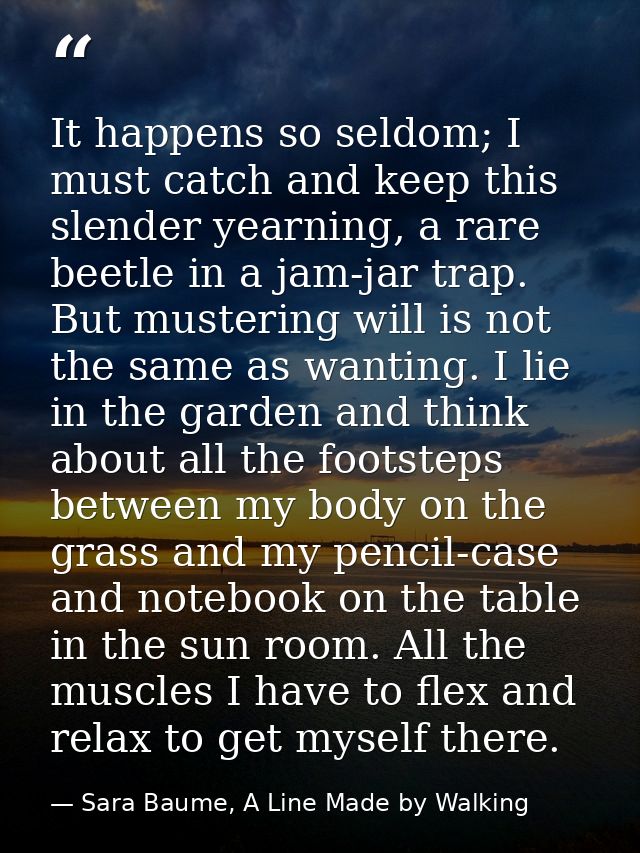 It happens so seldom; I must catch and keep this slender yearning, a rare beetle in a jam-jar trap. But mustering will i — Sara Baume, A Line Made by Walking