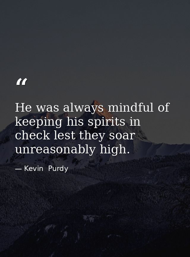 He was always mindful of keeping his spirits in check lest they soar unreasonably high. — Kevin  Purdy