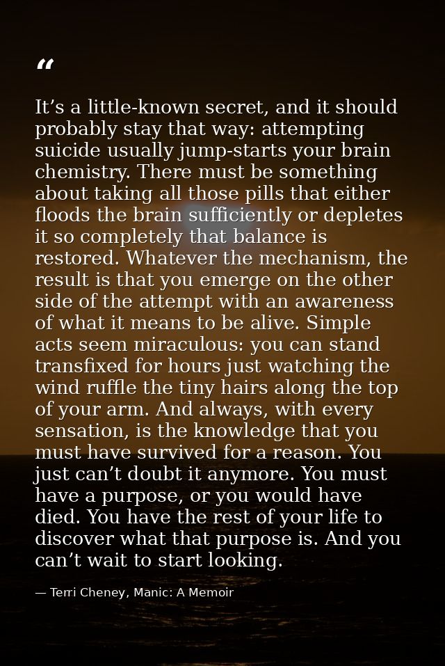 It’s a little-known secret, and it should probably stay that way: attempting suicide usually jump-starts your brain chem — Terri Cheney, Manic: A Memoir